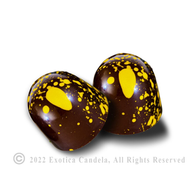 Minty Mango chocolate bonbon box-Exotica candela