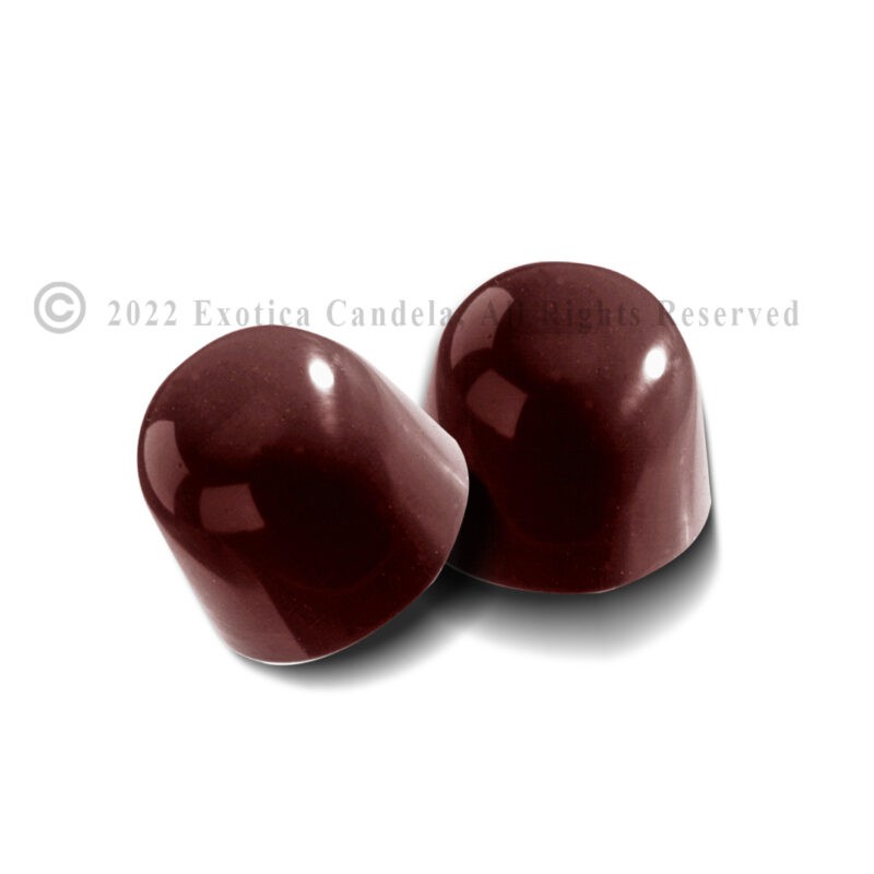 Peanut Butter Filled Chocolate Box- Exotica Candela