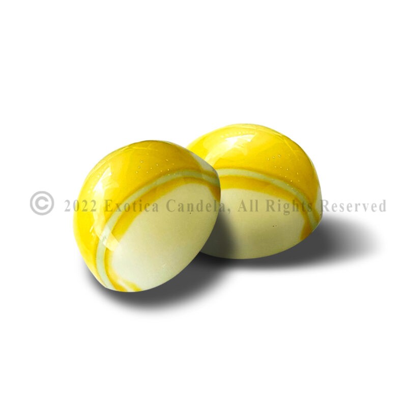 Nutty Cinnamon Chocolate bonbons box-Exotica Candela